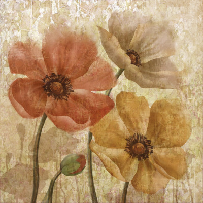 Poppy Allure I by Conrad Knutsen Pricing Limited Edition Print image