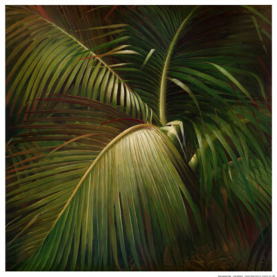 Tropical Seclusion by Verdi Pricing Limited Edition Print image