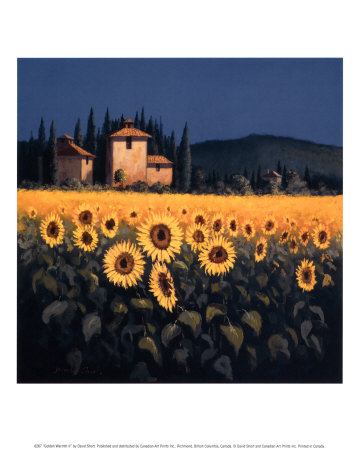 Golden Warmth Ii by David Short Pricing Limited Edition Print image