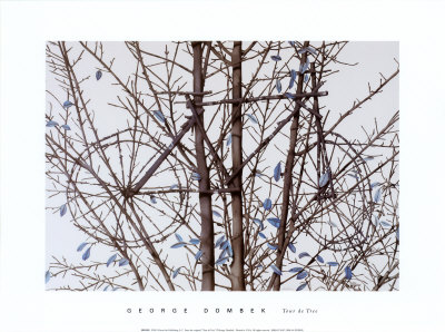 Bicycle Tree by George Dombek Pricing Limited Edition Print image