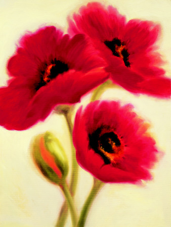 Red Poppies by Paula Benson Pricing Limited Edition Print image