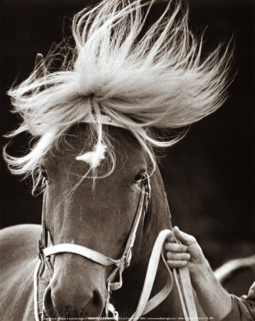 Horse by Yves Perton Pricing Limited Edition Print image