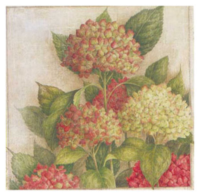 Hortensia I by Vincent Jeannerot Pricing Limited Edition Print image