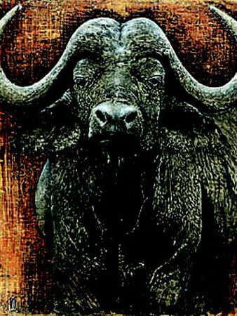 Water Buffalo by Fabienne Arietti Pricing Limited Edition Print image