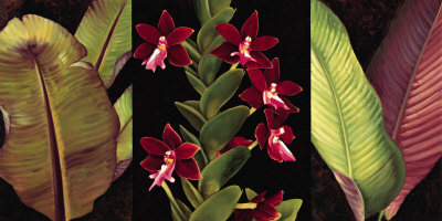 Red Orchids And Palm Leaves by Rodolfo Jimenez Pricing Limited Edition Print image