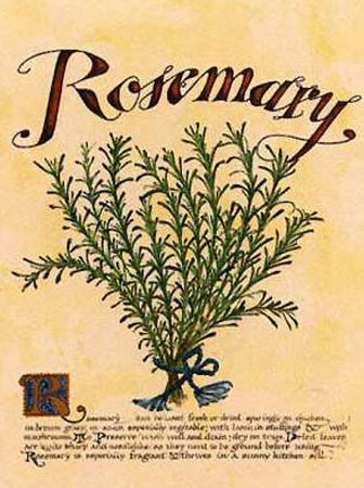 Rosemary by Linda Hutchinson Pricing Limited Edition Print image