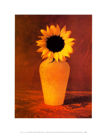 Sunflower Still Life by Masao Ota Pricing Limited Edition Print image
