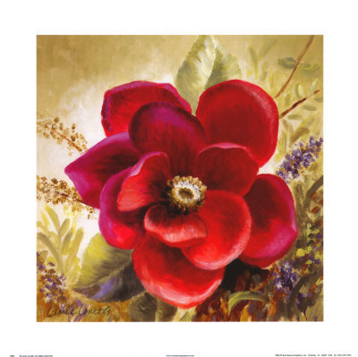 Russio Red Magnolia Ii by Lanie Loreth Pricing Limited Edition Print image