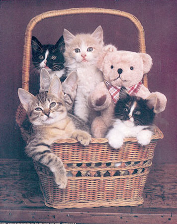 Cats In Basket by Ron Kimball Pricing Limited Edition Print image