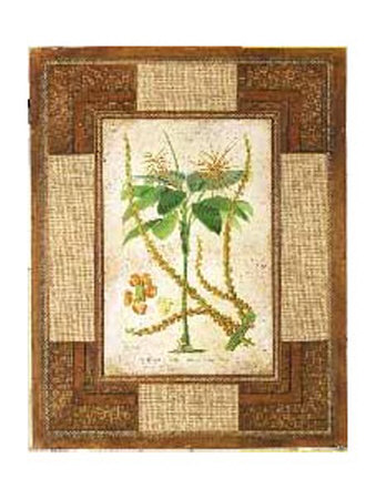 Safari Palm I by Susan Davies Pricing Limited Edition Print image