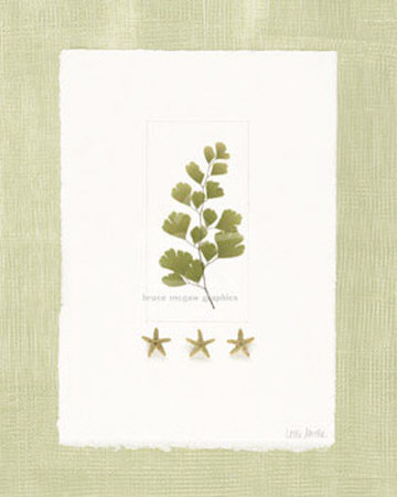 Starfish Botanical Ii by Leslie Mueller Pricing Limited Edition Print image