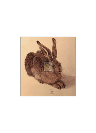 Hare by Albrecht Dürer Pricing Limited Edition Print image