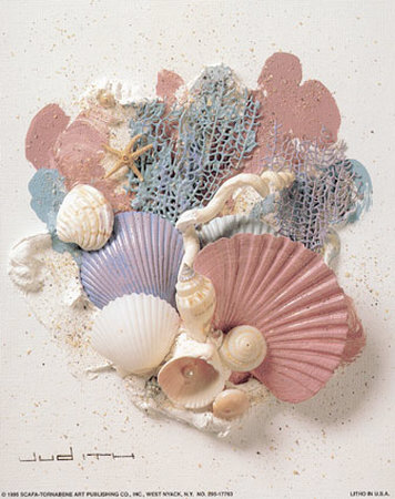 Shell Collage Ii by Judith Pricing Limited Edition Print image