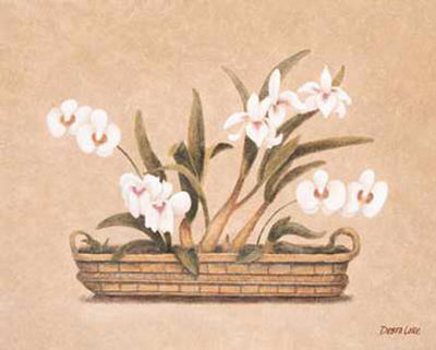 Orchids by Debra Lake Pricing Limited Edition Print image
