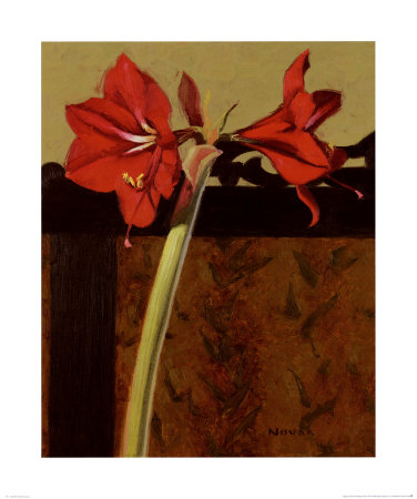 Amaryllis And French Screen I by Shirley Novak Pricing Limited Edition Print image