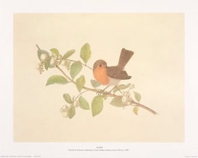 Robin by Frances Le Marchant Pricing Limited Edition Print image
