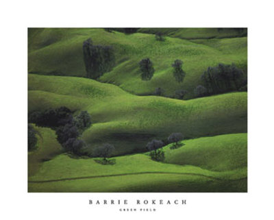 Green Field by Barrie Rokeach Pricing Limited Edition Print image