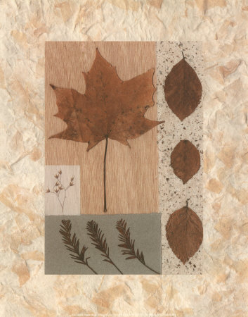 Copper Beech by Denise Duplock Pricing Limited Edition Print image