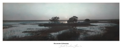 South Carolina Shore by Richard D'amore Pricing Limited Edition Print image