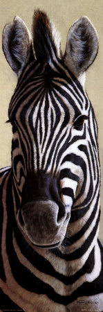 Zebra by Jeremy Paul Pricing Limited Edition Print image