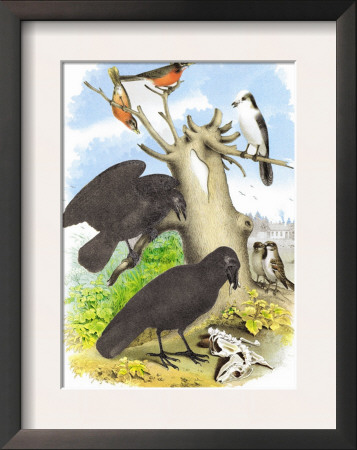 The Raven by Theodore Jasper Pricing Limited Edition Print image