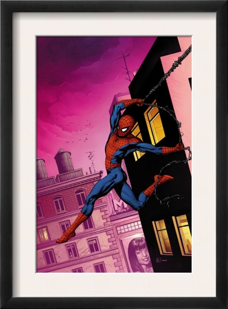 The Amazing Spider-Man #517 Cover: Spider-Man by Gary Frank Pricing Limited Edition Print image