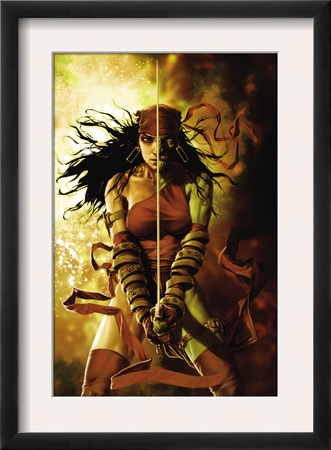 Dark Reign: Elektra #5 Cover: Elektra by Lee Bermejo Pricing Limited Edition Print image
