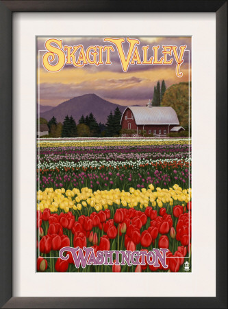 Skagit Valley - Tulip Fields, C.2009 by Lantern Press Pricing Limited Edition Print image