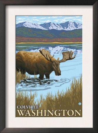 Moose Scene - Colville, Washington, C.2009 by Lantern Press Pricing Limited Edition Print image