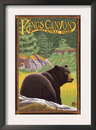 Kings Canyon Nat'l Park - Bear In Forest - Lp Poster, C.2009 by Lantern Press Pricing Limited Edition Print image