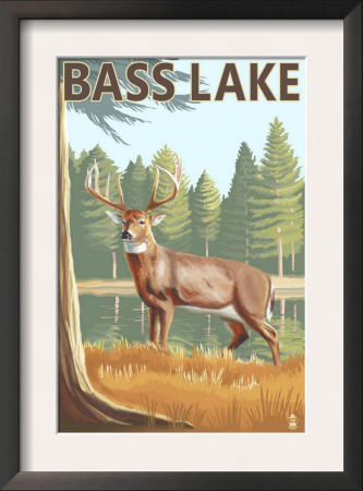 Bass Lake, California - Deer, C.2009 by Lantern Press Pricing Limited Edition Print image