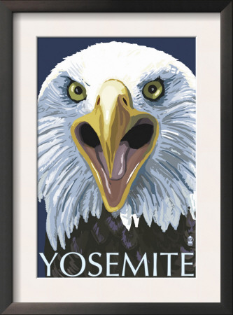 Yosemite, California - Eagle Up Close, C.2008 by Lantern Press Pricing Limited Edition Print image