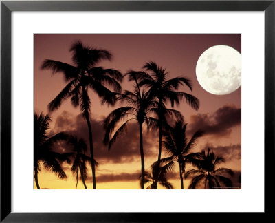 Moonrise, Oahu, Hi by Gary Hofheimer Pricing Limited Edition Print image
