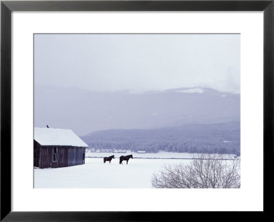 Horses In Snowstorm by Allen Russell Pricing Limited Edition Print image