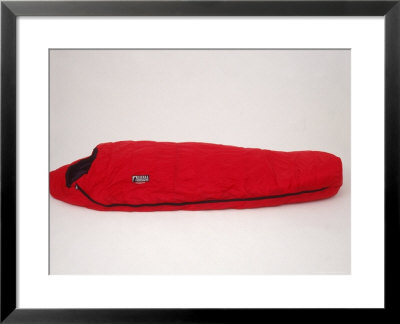 Sleeping Bag by Len Delessio Pricing Limited Edition Print image
