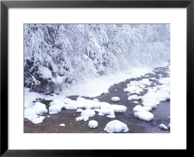 Snow In Bavaria, Germany by Peter Adams Pricing Limited Edition Print image