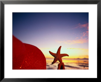 Starfish At Sunrise, Papua New Guinea by Stuart Westmoreland Pricing Limited Edition Print image