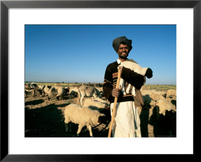 Rajasthan, Jaisalmer, Sheep Farmer, India by Jacob Halaska Pricing Limited Edition Print image