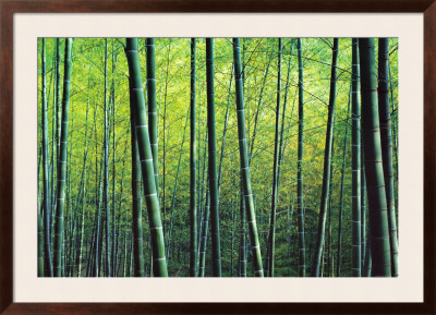The Bamboo Grove by Robert Churchill Pricing Limited Edition Print image