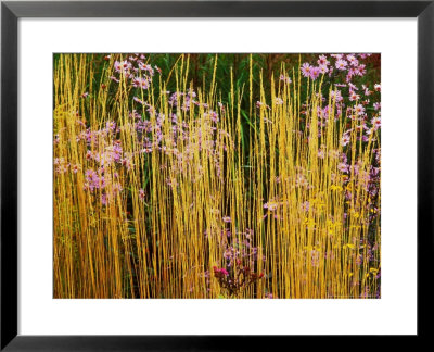 Lady Farm, Somerset by Mark Bolton Pricing Limited Edition Print image