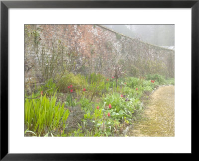 View Along The Long Border With Brick Wall And Climbing Roses Behind by Mark Bolton Pricing Limited Edition Print image