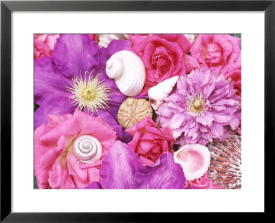 Pink & Purple Summer Flower Graphic Background, Clematis, Rosa & Shells by Linda Burgess Pricing Limited Edition Print image