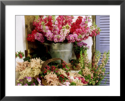Summer Still Life by James Guilliam Pricing Limited Edition Print image