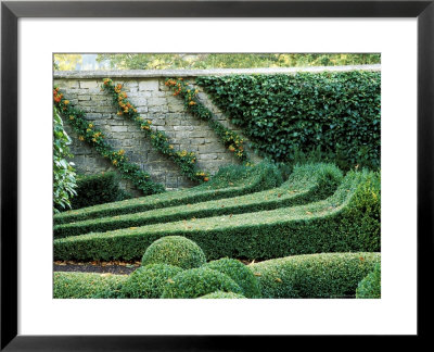 Box Maze Detail, Bourton House Garden, September by Lynn Keddie Pricing Limited Edition Print image