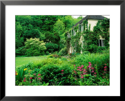 Wiltshire Bog And Woodland Garden With Pond And Lush Foliage by Lynn Keddie Pricing Limited Edition Print image