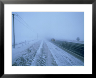 Snow Storm, Canada by David Cayless Pricing Limited Edition Print image