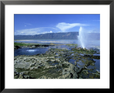 Lake Nakuru, Kenya by Kenneth Day Pricing Limited Edition Print image