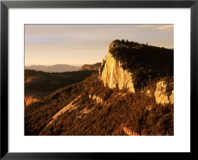 Maderas Del Carmen Reserve, Mexico by Patricio Robles Gil Pricing Limited Edition Print image