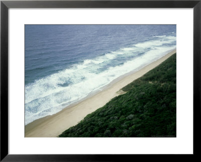 Kobi Bay Coastal Forest, South Africa by Patricio Robles Gil Pricing Limited Edition Print image