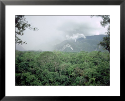 Mulu National Park, Borneo, Weather Time-Lapse, 4Pm by Rodger Jackman Pricing Limited Edition Print image